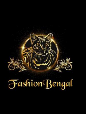 Fashionbengal, levage de Bengal