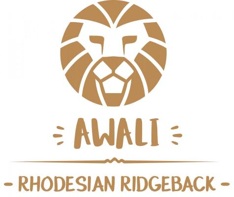 Awali, levage de Rhodesian Ridgeback