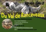 Du Val De Ronceveaux