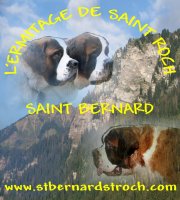 Afficher le site de l'levage L'ermitage De Saint Roch