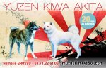 Yuzen Kiwa, élevage d'Akita Inu
