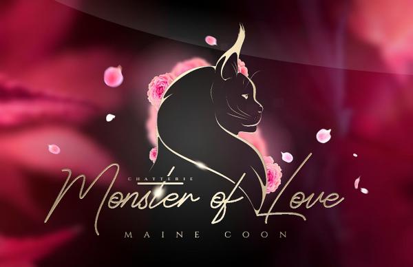 Monster Of Love, levage de Maine Coon