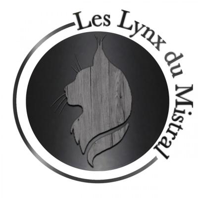 Des Lynx Du Mistral, levage de Maine Coon