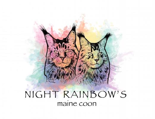 Night Rainbow's, levage de Maine Coon