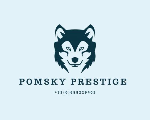 Pomsky Prestige, levage de Pomsky