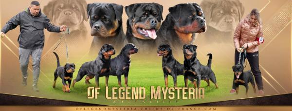 Of Legend Mysteria, levage de Rottweiler