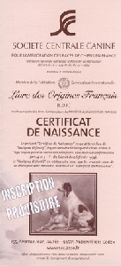 Certificat de Naissance