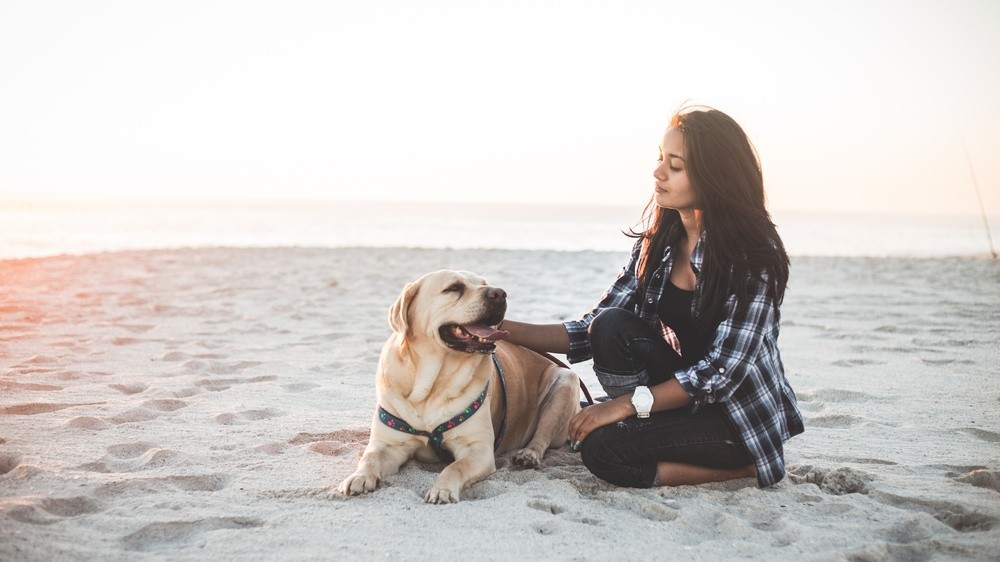 L't arrive! Les conseils pour passer de bonnes vacances avec votre chien