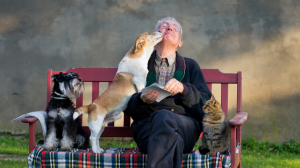 Possder un chien ou un chat quand on est g - Un vrai plus pour la sant !