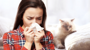 Allergie aux poils de chat - Prcautions  prendre pour les viter