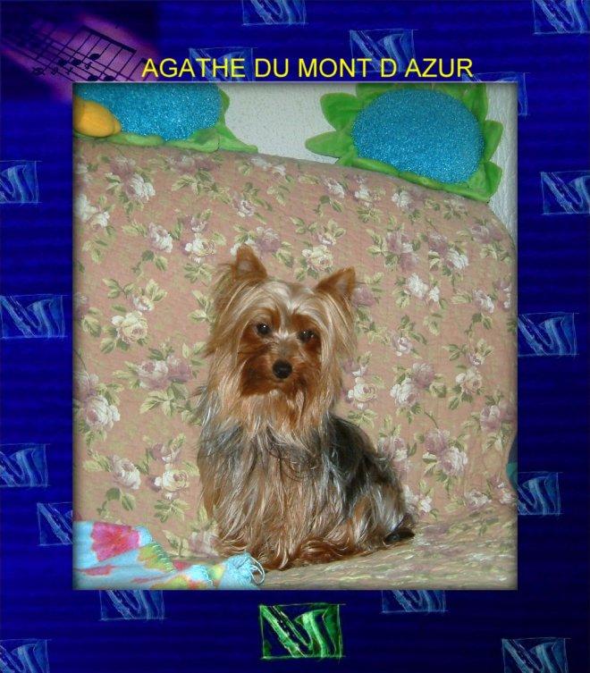 Agathe Du Mont D Azur