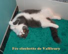 Fee Clochette De Valfleury