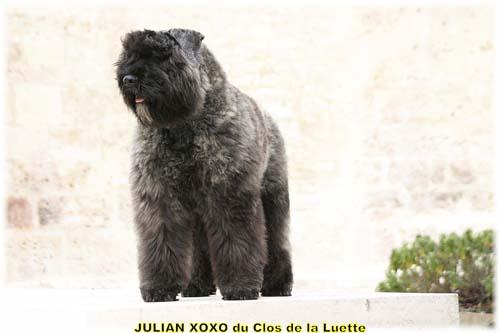JULIAN XOXO du Clos de la Luette