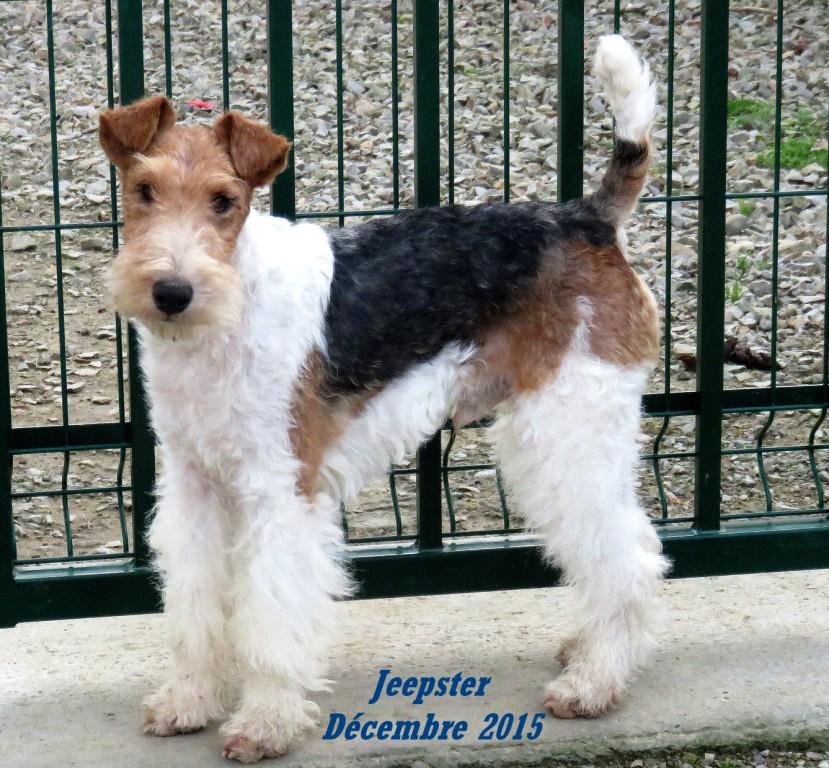 Jeepster 22 mois