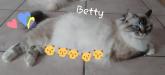 Betty boop en attente