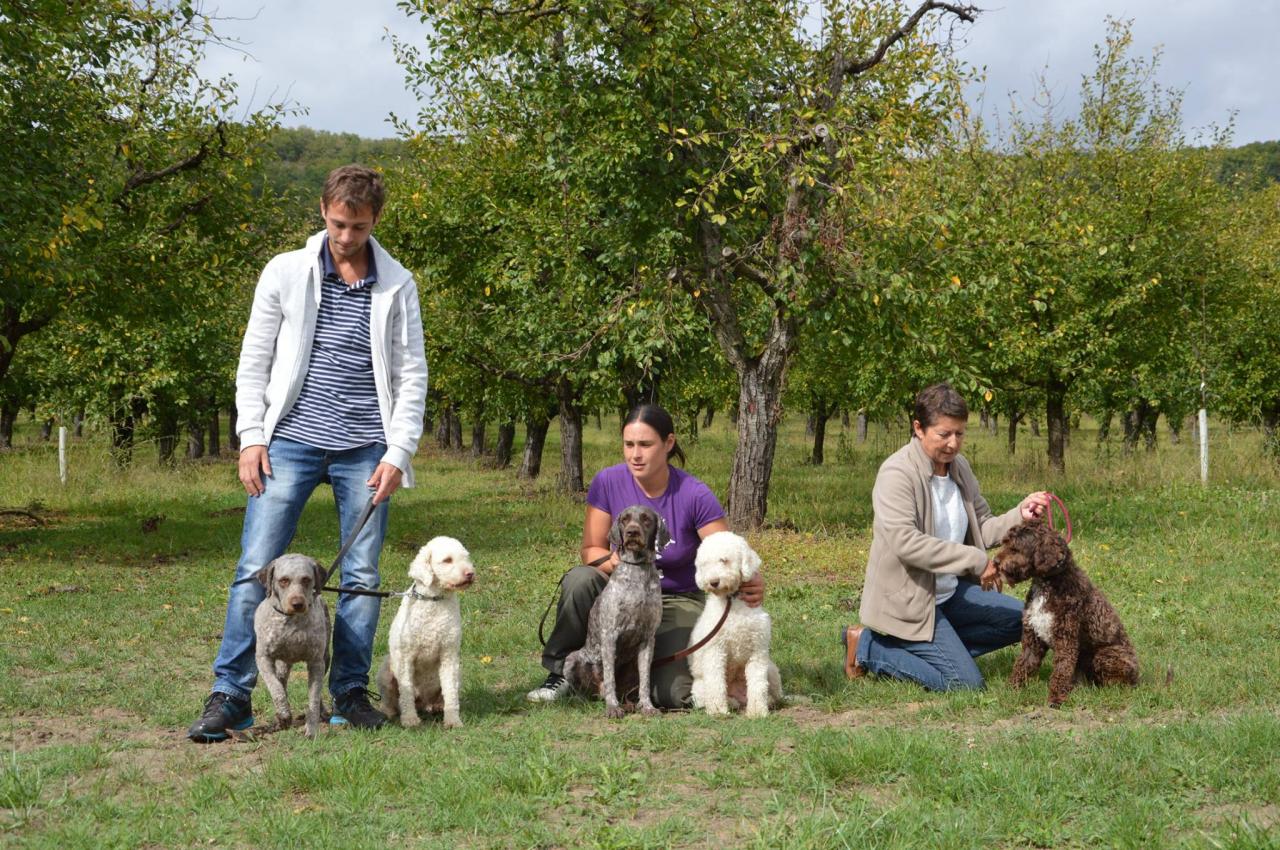 Que des basse Dordogne en concours chien truffier