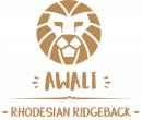 Awali Rhodesian Ridgeback