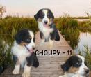 Choupy 11