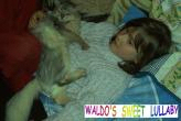 Bonne entente avec enfant, Waldo's Sweet Lullaby
